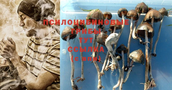 2c-b Вяземский