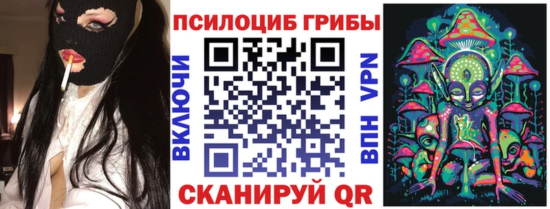 сайты даркнета телеграм  Екатеринбург  Псилоцибиновые грибы Psilocybe 